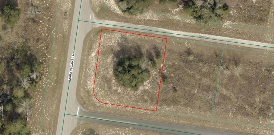 Land in Ocala, Florida № 2160455