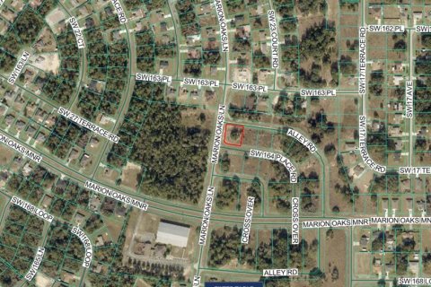 Land in Ocala, Florida № 2160455 - photo 2