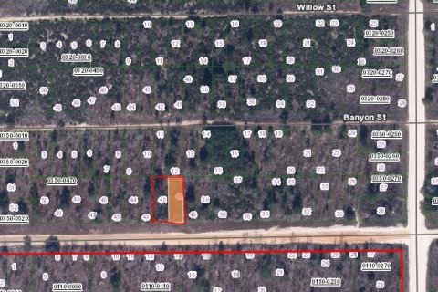 Land in Interlachen, Florida № 2223862 - photo 2