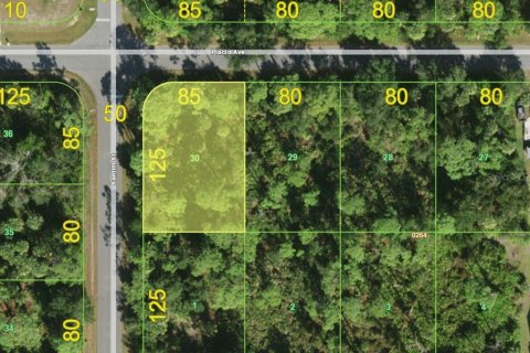 Land in Port Charlotte, Florida № 2347792