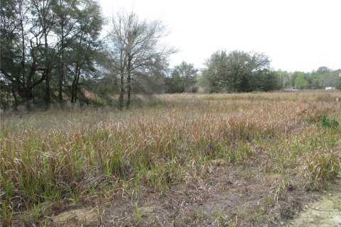 Land in Ocala, Florida № 2158803 - photo 3