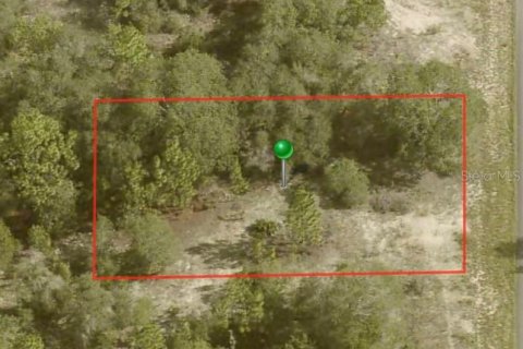 Land in Citrus Springs, Florida № 2161169 - photo 2