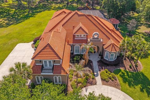 Villa ou maison à vendre à Ocala, Floride: 6 chambres, 630.25 m2 № 2115692 - photo 3
