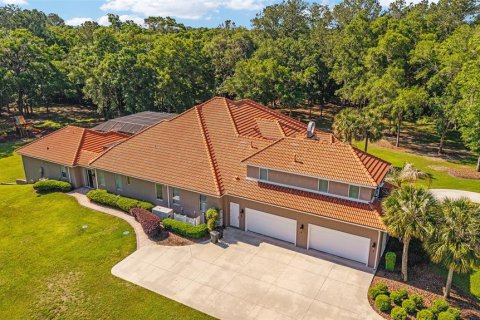 Villa ou maison à vendre à Ocala, Floride: 6 chambres, 630.25 m2 № 2115692 - photo 7