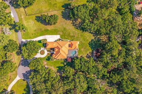 Villa ou maison à Ocala, Floride 6 chambres, 630.25 m2 № 2115692