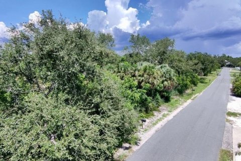 Land in Nokomis, Florida № 1888688 - photo 1