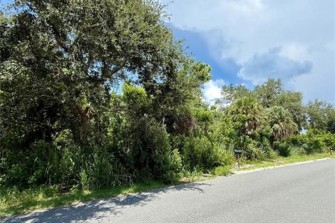Land in Nokomis, Florida № 1888688 - photo 4