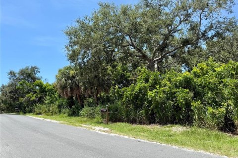 Land in Nokomis, Florida № 1888688 - photo 3