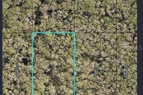 Land in Hastings, Florida № 2166080