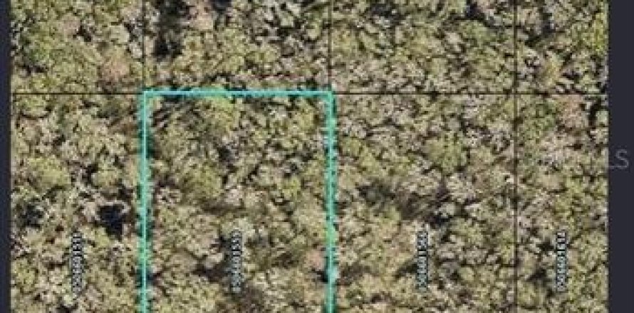 Land in Hastings, Florida № 2166080