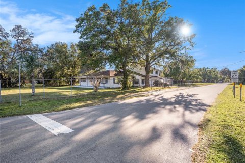 Land in Tampa, Florida № 1732411 - photo 2