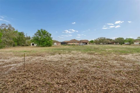 Land in Bradenton, Florida № 2143250 - photo 5