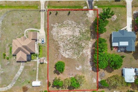 Land in Bradenton, Florida № 2143250 - photo 2