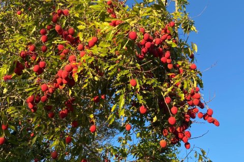 Купить земельный участок в Майами, Флорида № 2051468 - фото 13