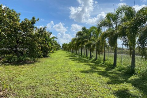 Купить земельный участок в Майами, Флорида № 2051468 - фото 7