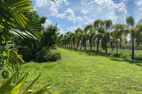 Купить земельный участок в Майами, Флорида № 2051468 - фото 8