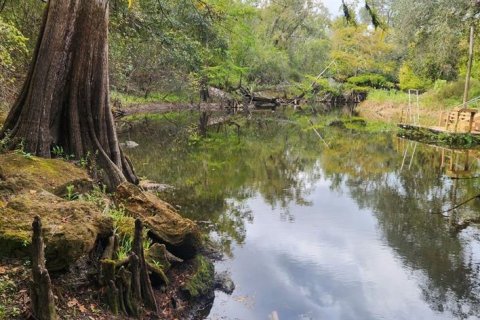 Terreno en venta en Dade City, Florida № 2102016 - foto 11