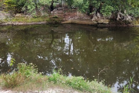 Terreno en venta en Dade City, Florida № 2102016 - foto 22