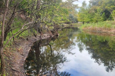 Terreno en venta en Dade City, Florida № 2102016 - foto 12