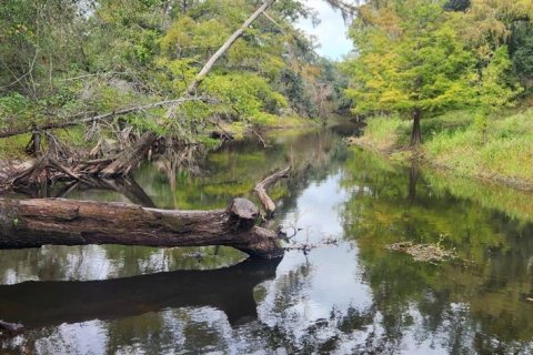Terreno en venta en Dade City, Florida № 2102016 - foto 3