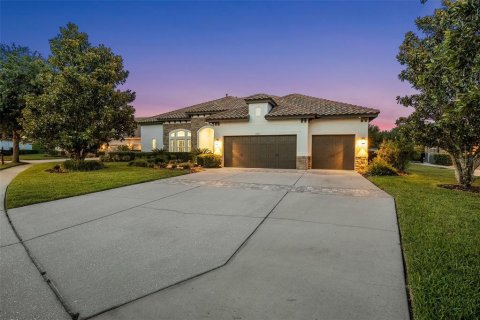 House in Lutz, Florida 4 bedrooms, 373.93 sq.m. № 2222399 - photo 8