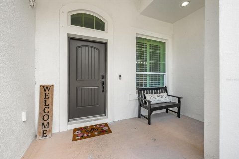 House in Lutz, Florida 4 bedrooms, 373.93 sq.m. № 2222399 - photo 15