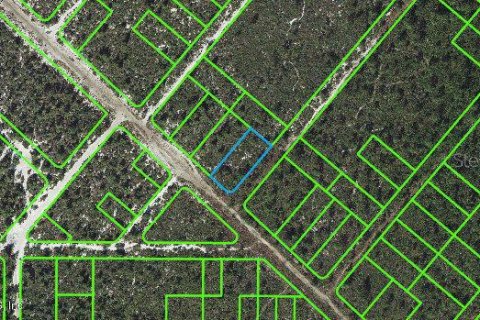 Land in Lake Placid, Florida № 2233137