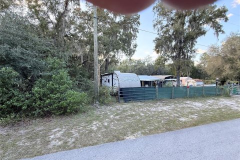 Appartement à louer à Homosassa, Floride: 1 chambre, 16.72 m2 № 2430890 - photo 12