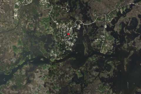 Land in Crystal River, Florida № 2161339 - photo 5
