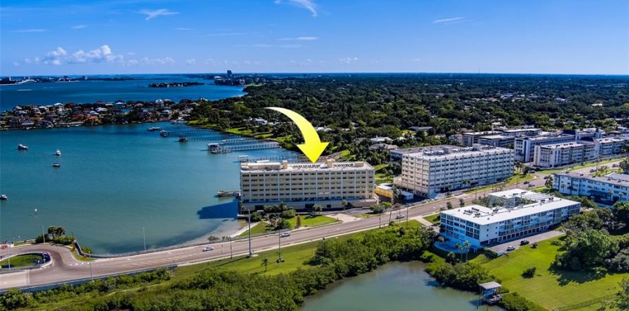 Condo à Belleair Bluffs, Floride, 2 chambres № 1793577