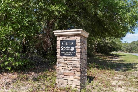 Casa en venta en Citrus Springs, Florida, 4 dormitorios, 164.53 m2 № 1802347 - foto 20