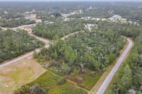 Land in Ocala, Florida № 2379844