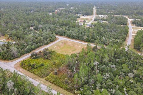 Land in Ocala, Florida № 2379844 - photo 5
