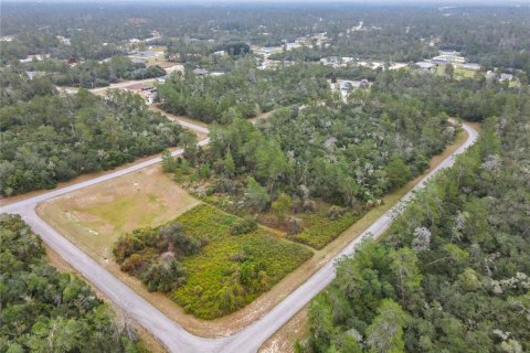 Land in Ocala, Florida № 2379844 - photo 2