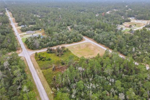 Land in Ocala, Florida № 2379844 - photo 6