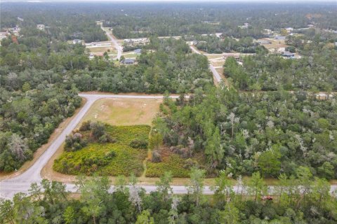 Land in Ocala, Florida № 2379844 - photo 4