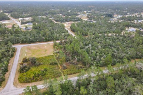 Land in Ocala, Florida № 2379844 - photo 3