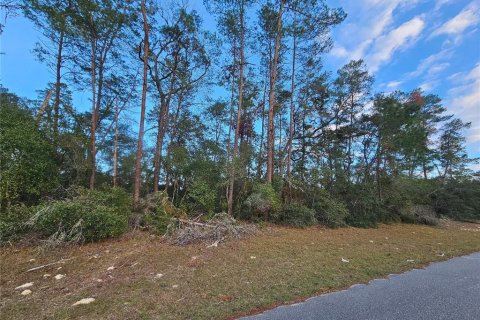 Terreno en venta en Ocala, Florida № 2201477 - foto 2