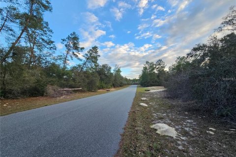 Terreno en venta en Ocala, Florida № 2201477 - foto 4
