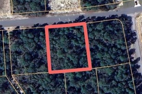 Terreno en venta en Ocala, Florida № 2201477 - foto 3