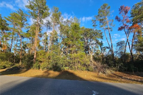 Land in Ocala, Florida № 2201477