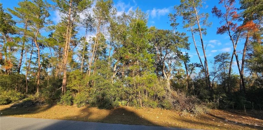 Terreno en Ocala, Florida № 2201477