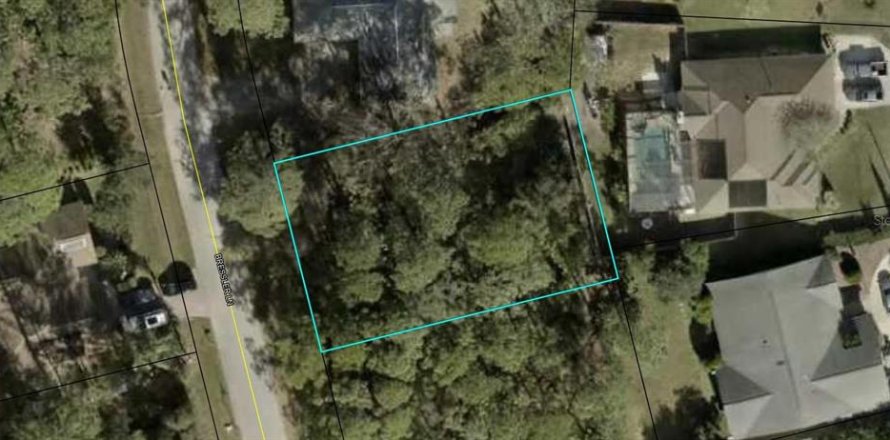 Land in Palm Coast, Florida № 1894617