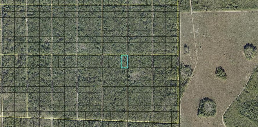 Land in Hastings, Florida № 2393413