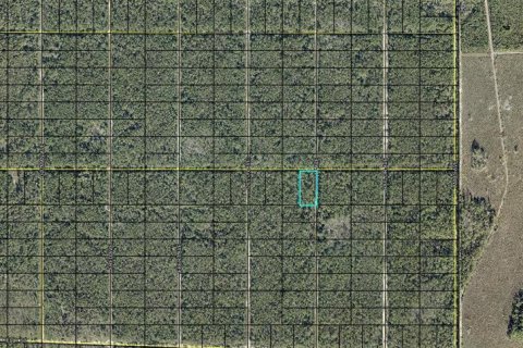 Land in Hastings, Florida № 2393413 - photo 3
