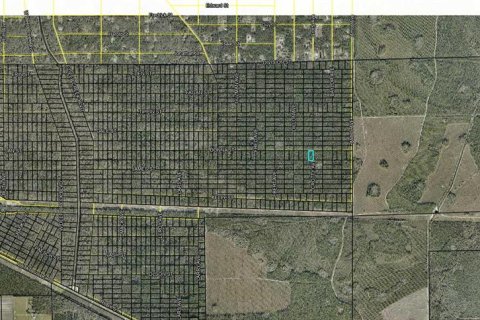 Land in Hastings, Florida № 2393413 - photo 2