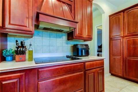 Villa ou maison à vendre à Odessa, Floride: 3 chambres, 250.37 m2 № 2151371 - photo 25