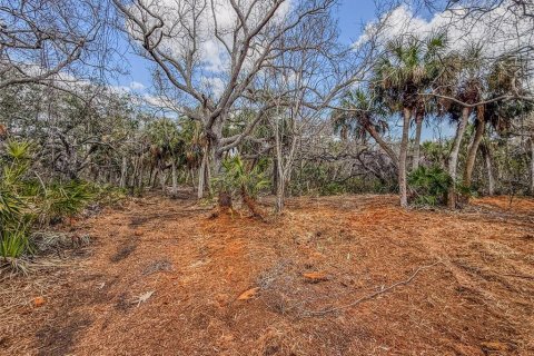 Terrain à vendre à Englewood, Floride № 1805754 - photo 12