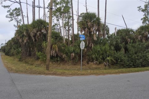 Land in North Port, Florida № 2165302 - photo 3