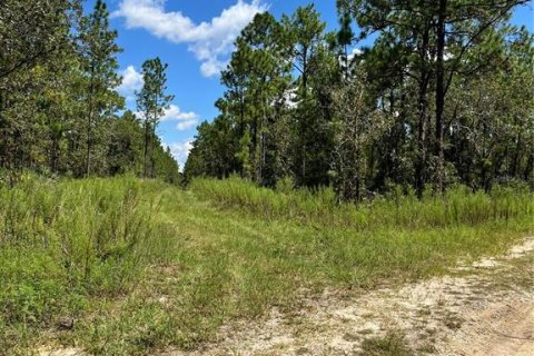 Land in Ocala, Florida № 2159876 - photo 8